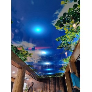 Dekorativni elasticni plafoni 